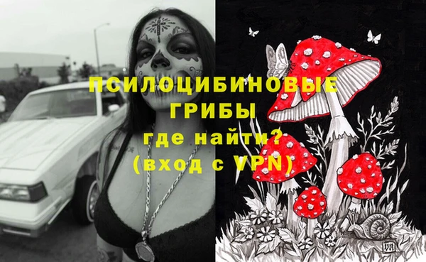 не бодяженный Надым