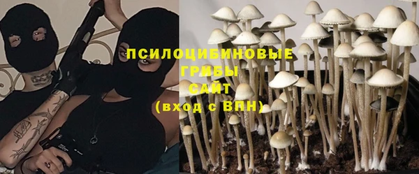 PSILOCYBIN Богородицк