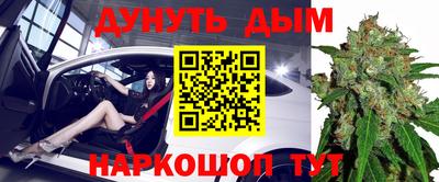 гидра Берёзовский