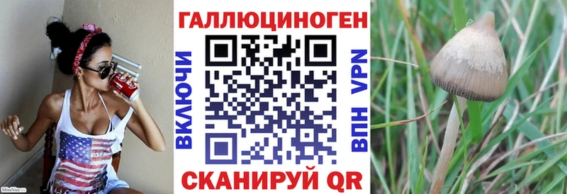 Галлюциногенные грибы мухоморы Великие Луки