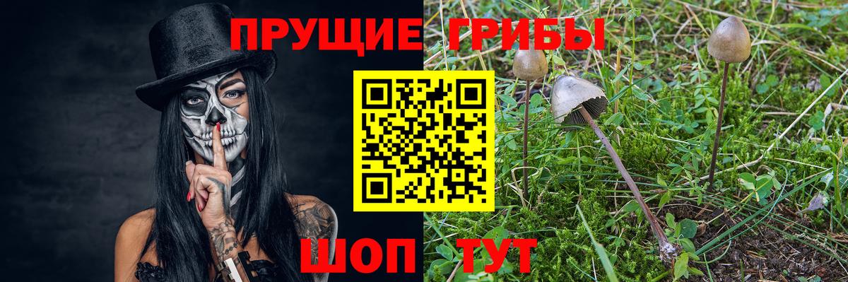 Псилоцибиновые грибы прущие грибы  Псилоцибиновые грибы мухоморы  Великие Луки 