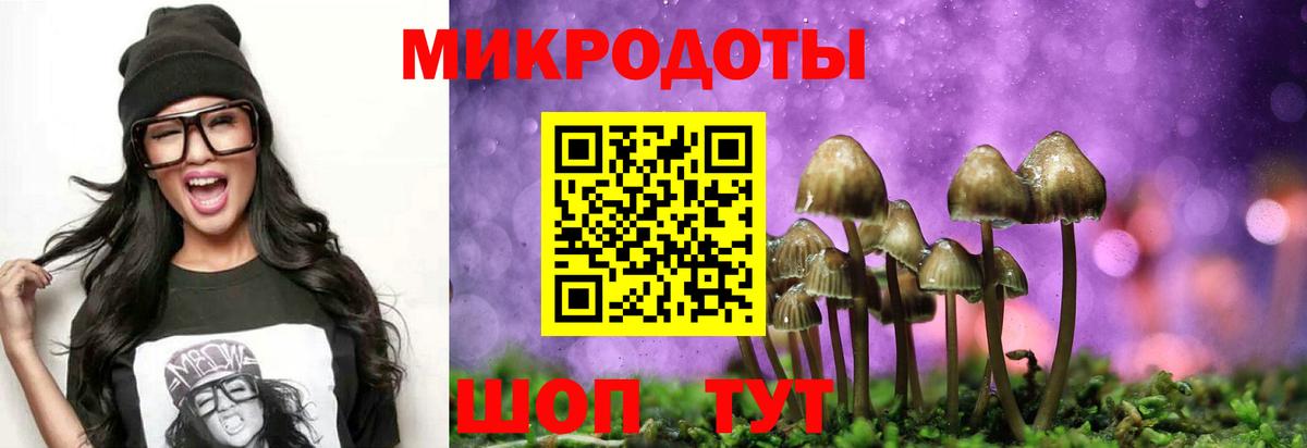 Галлюциногенные грибы Psilocybine cubensis Великие Луки